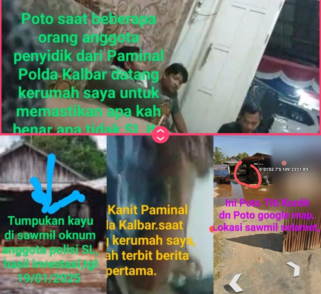 Kadis LHK Kalbar Perintahkan KPH Periksa Sawmil Ilegal Milik Oknum Polisi